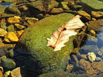 精準(zhǔn)一肖一碼100準(zhǔn)最準(zhǔn)一肖,美準(zhǔn)國務(wù)卿盧比奧談?wù)撝袊鴷r(shí)情緒激動