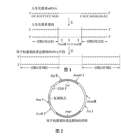 pcr擴(kuò)增儀使用步驟,PCR擴(kuò)增儀使用步驟與實(shí)地驗(yàn)證設(shè)計(jì)解析,專業(yè)分析解析說明_app29.29.35