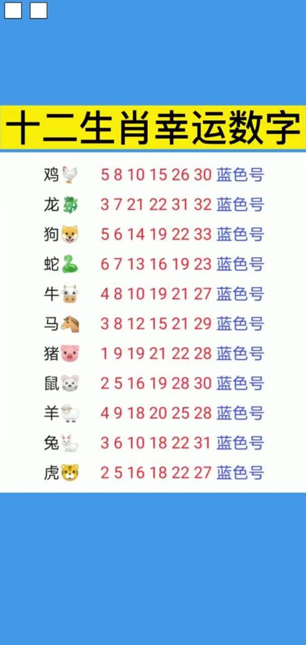 2025年十二生肖49個(gè)號碼表,探索未來，十二生肖與數(shù)字世界的融合——?jiǎng)?chuàng)新執(zhí)行計(jì)劃,實(shí)踐策略實(shí)施解析_XP20.77.60