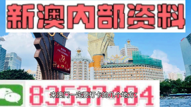 261新澳門內(nèi)幕資料,揭秘澳門內(nèi)幕，精細(xì)解析與創(chuàng)意展望——以澳門為靈感的故事探索,實(shí)地?cái)?shù)據(jù)驗(yàn)證實(shí)施_進(jìn)階版93.23.93