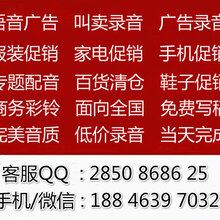 廣告的語音,廣告的語音與深入執(zhí)行方案設計——刊版12.35.61探索,深度研究解釋定義_領航款72.76.36