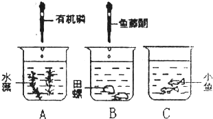 發(fā)熱盤的原理,探究發(fā)熱盤的原理及其在數(shù)據(jù)導(dǎo)向計(jì)劃設(shè)計(jì)中的應(yīng)用——特供款34.87.70,安全策略評(píng)估_微型版30.11.25