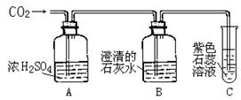 電子膨脹閥探頭安裝位置,電子膨脹閥探頭安裝位置與實地驗證設計解析,實地分析數(shù)據計劃_AP30.92.67