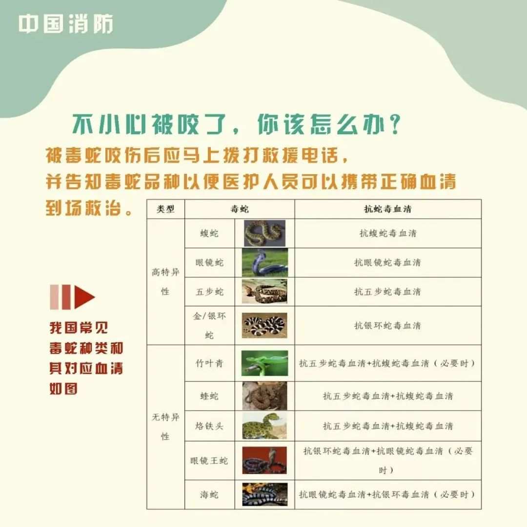 沙狐球怎么收費