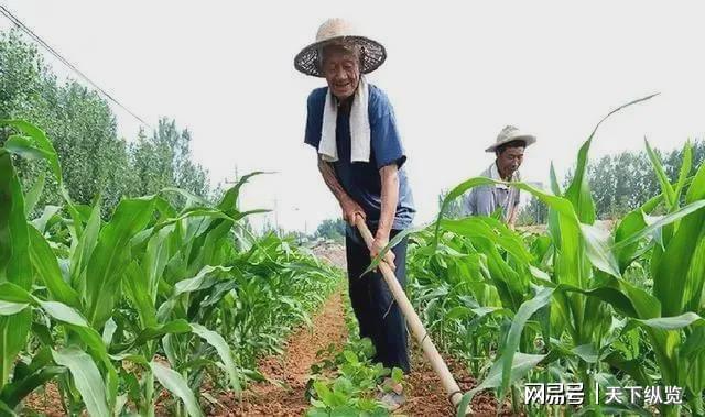 種植中草藥國(guó)家政策怎么補(bǔ)貼