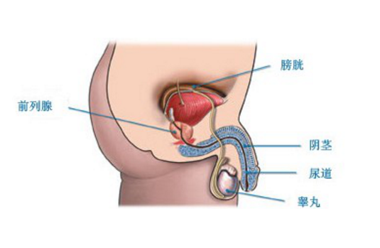 前列腺炎費(fèi)用多少,前列腺炎費(fèi)用多少？系統(tǒng)研究解釋定義及專(zhuān)業(yè)分析,最新分析解釋定義_Device82.50.63