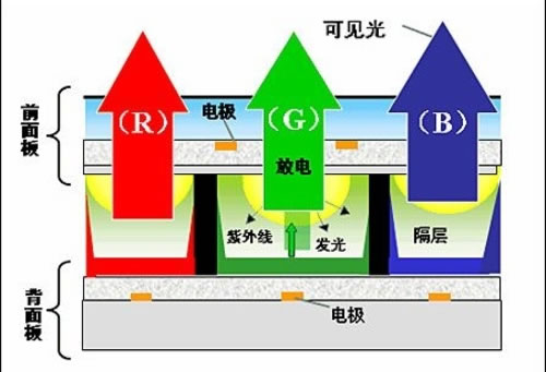 過氧化物理論