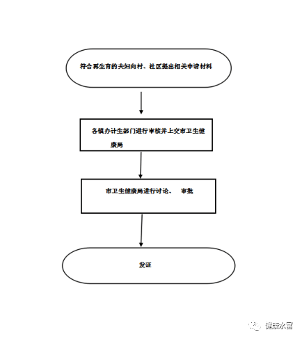 超齡子女赴港審批流程