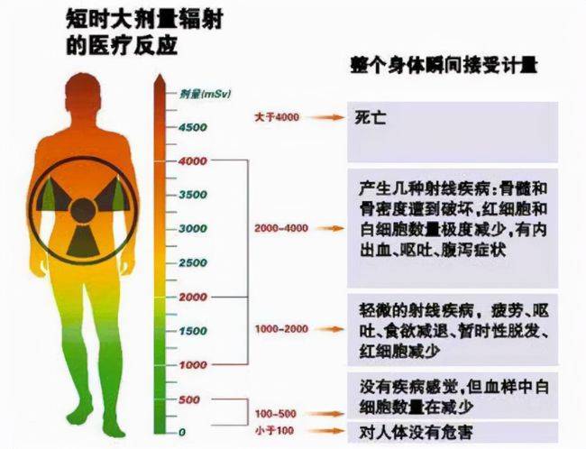 鉛衣是啥