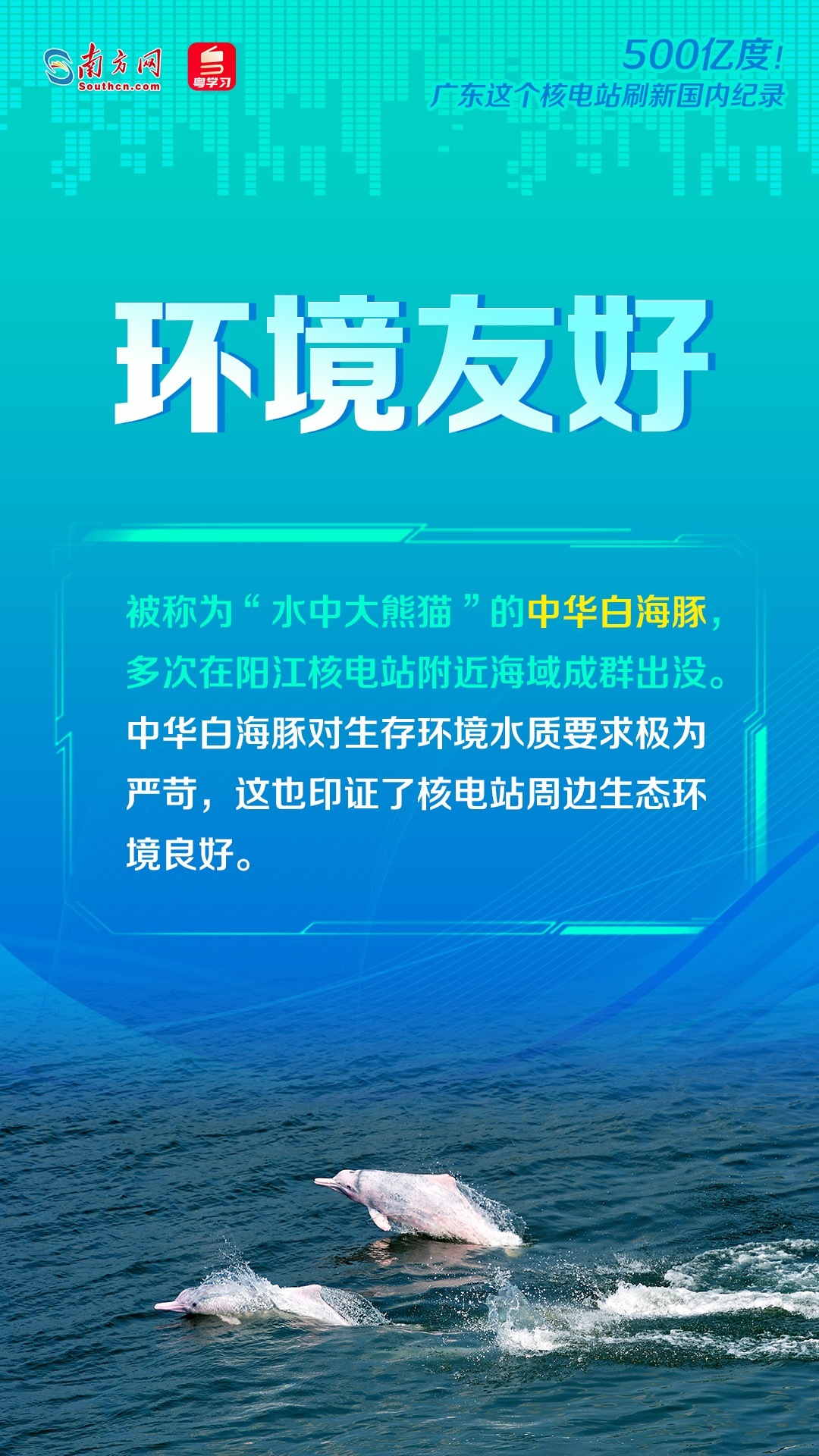 澳彩資料免費大全,澳彩資料免費大全與快速落實方案響應(yīng)——探索版式設(shè)計的奧秘,靈活解析方案_牙版21.79.13