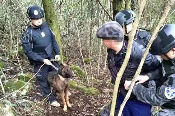 關于云南一警犬連續(xù)四周被基地通報的情況，暫時無法提供詳細的報道或信息。，建議您關注當?shù)毓俜矫襟w或相關部門的官方賬號，以獲取最新和準確的信息。同時，如果您對警犬的工作和生活感興趣，也可以查找相關的專業(yè)資料或文獻，以了解更多關于警犬訓練和管理的知識。