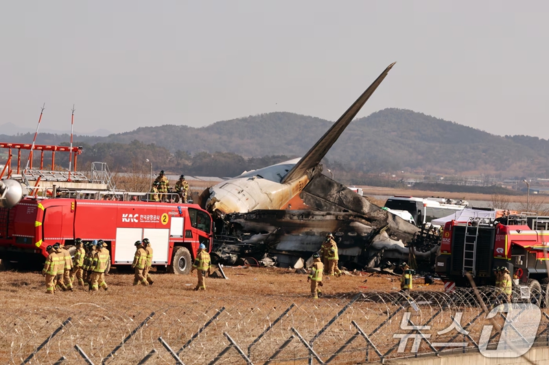 韓國客機(jī)事故遇難者DNA已全部采集