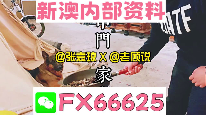 管家婆資料精準大全