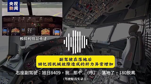 飛鳥撞機被列入A級航空災(zāi)難