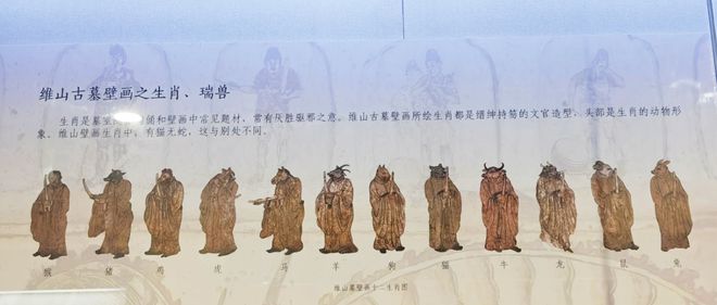 古代十二生肖壁畫(huà)有貓無(wú)蛇？專家回應(yīng)