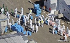 日本因禽流感撲殺近700萬只禽類