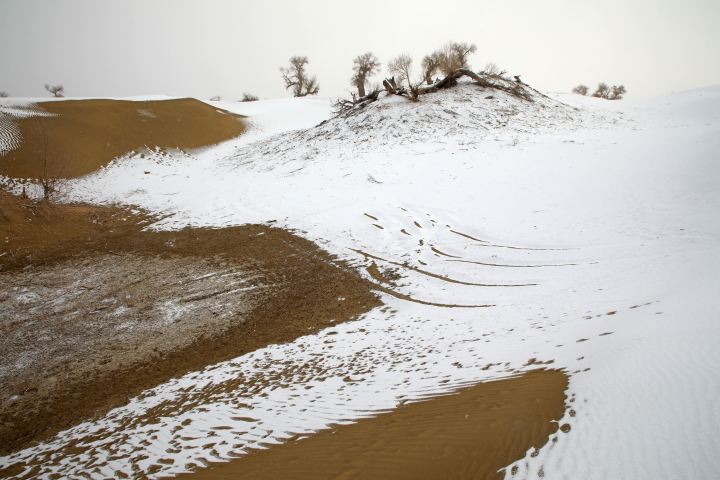 塔克拉瑪干沙漠降雪 沙海變雪海