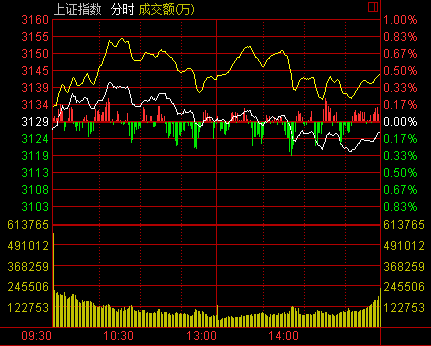 2025年2月5日 第10頁