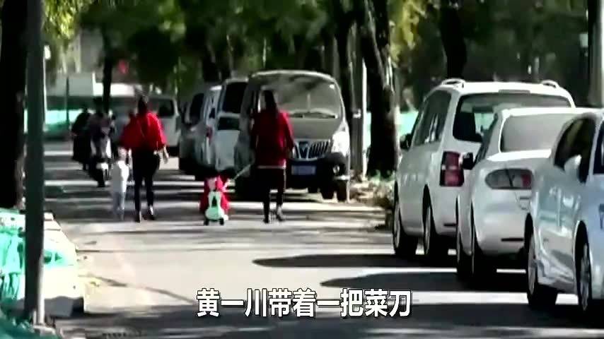 珠海駕車沖撞市民案兇手被執(zhí)行死刑