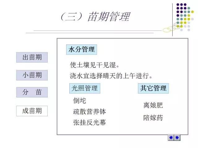 資料大全正版資料免費獲取,新興技術(shù)推進策略_Nexus17.17.95