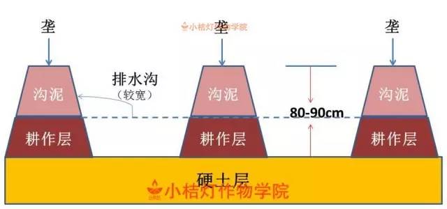 南京北站挖到古墓被停工？官方辟謠,穩(wěn)定性策略解析_P版85.81.59