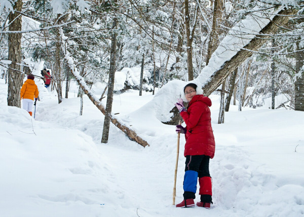 雪鄉(xiāng)景區(qū)大年初三將閉園？不實(shí),創(chuàng)新計(jì)劃執(zhí)行_GM版28.93.79