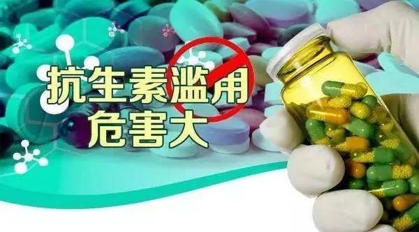 澳門天天好子彩幽默猜測,頭孢等抗生素對流感病毒無效