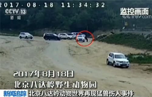 合單大數(shù)旺本期是什么動(dòng)物,德國(guó)車輛沖撞人群事件致2死68傷