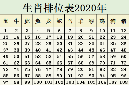 2025到2025年生肖排碼表香港